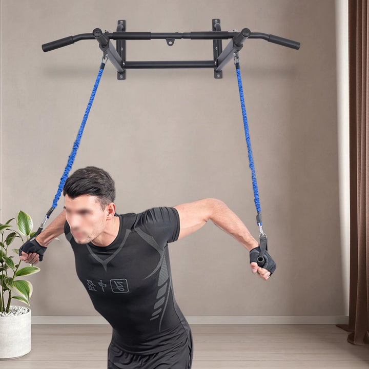 Wall Mounted Pull Up Bar